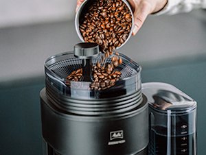 Kaffeebohnen werden in den Bohnenbehälter der Melitta® AromaFresh X Filterkaffeemaschine eingefüllt