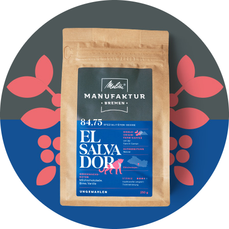 Melitta Manufaktur Kaffee „Salvador“ Produktbild auf blauem und grauem Hintergrund