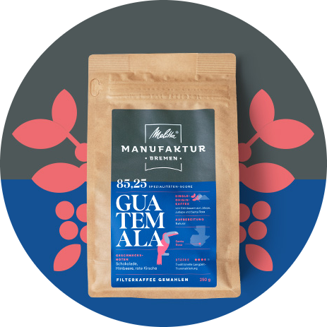 Melitta Manufaktur Kaffee „Guatemala“ Produktbild auf blauem und grauem Hintergrund